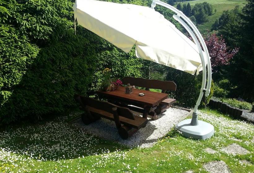 Hotel Pension Haus Petra 2