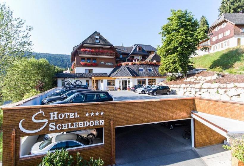 Hotel Schlehdorn 10
