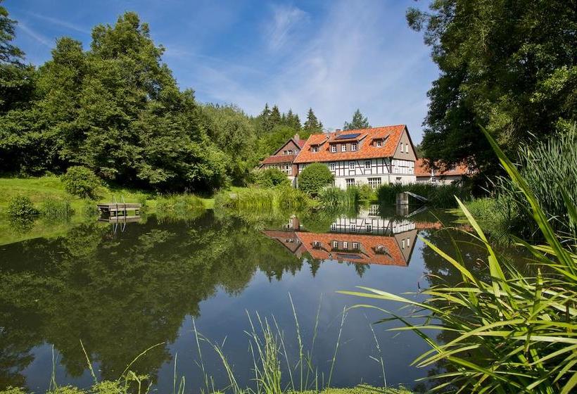 Hotel Landhaus Bärenmühle 2