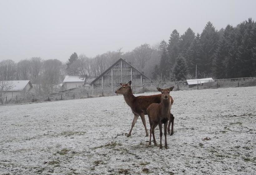 Waldhotel Heiderhof 10