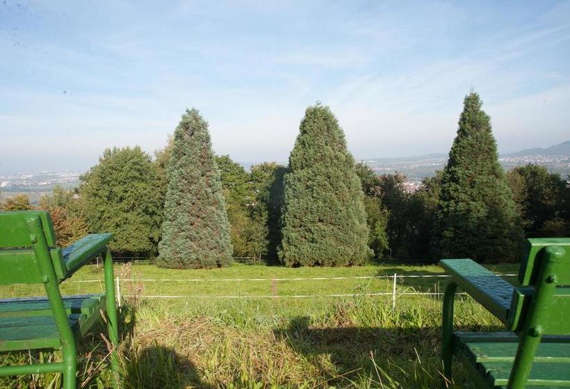 Hotel Landgut Burg 10