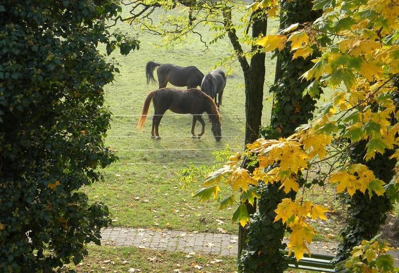 Hotel Landgut Burg 13