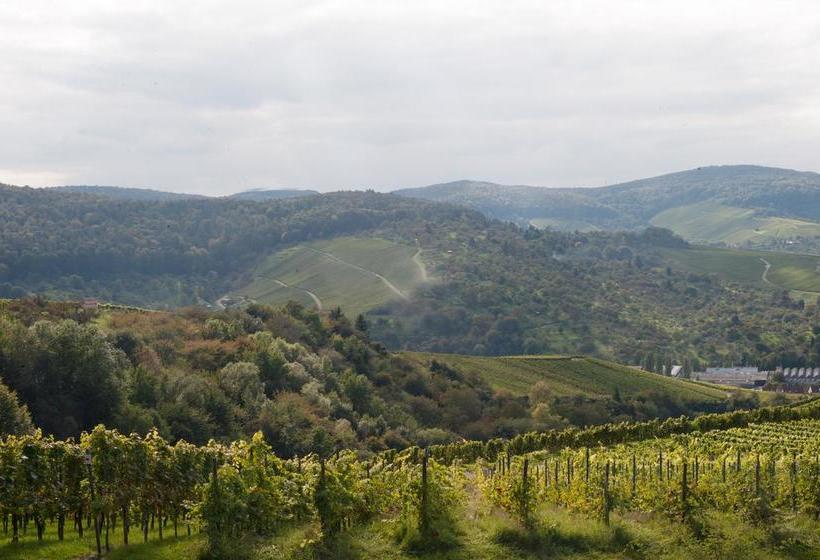 Hotel Landgut Burg 14