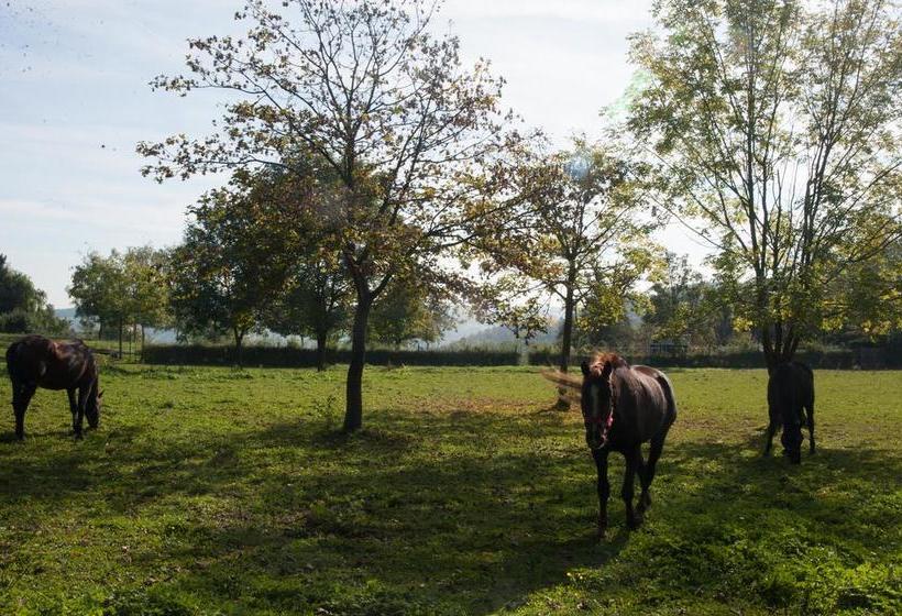 Hotel Landgut Burg 4