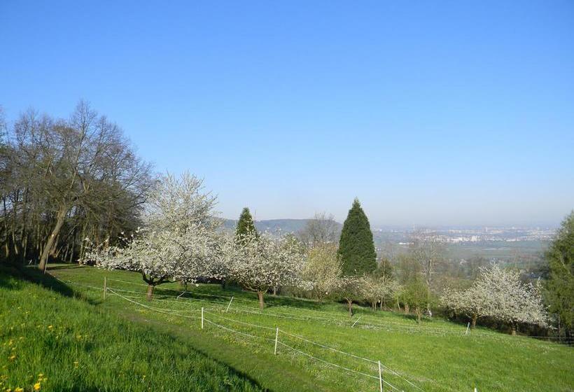 Hotel Landgut Burg 7