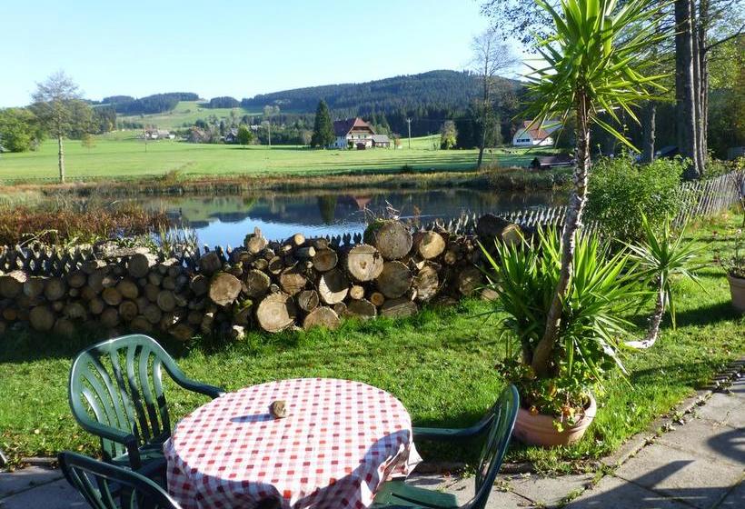 Hotel Pension Mühlencafé 2