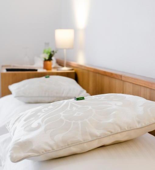 Hotel Blaue Traube Restaurant 2