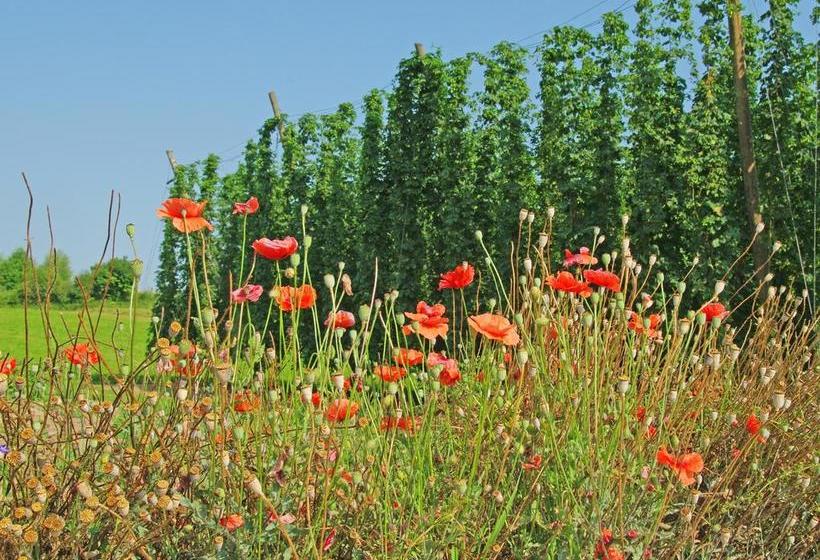 Krone Hotel Gasthof 9