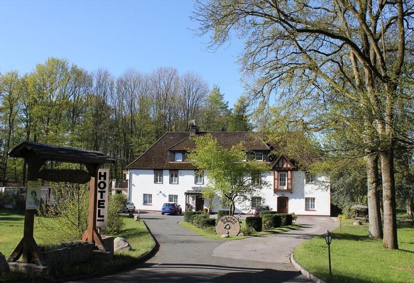 Hotel Wintersmühle 9