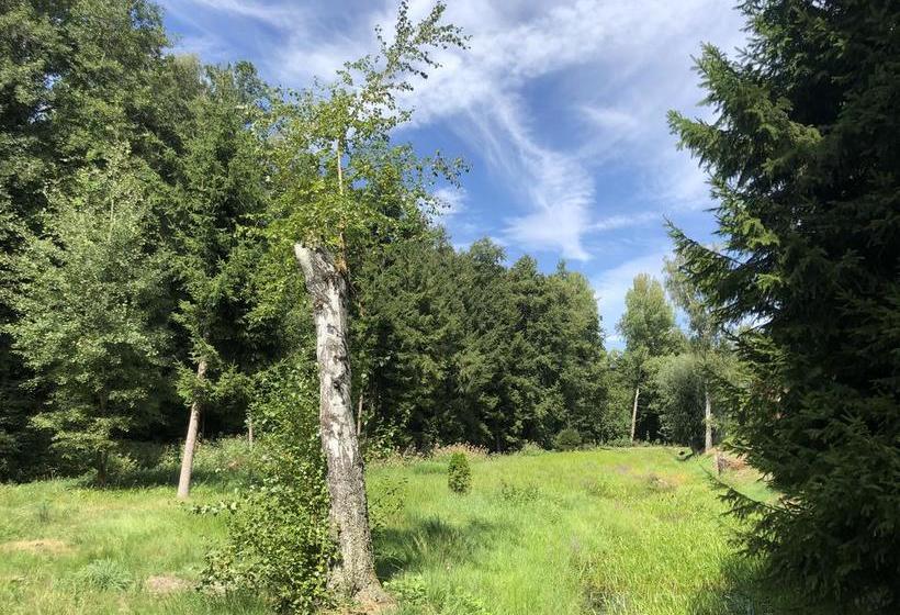 Hotel & Restaurant Glutschaufel 10