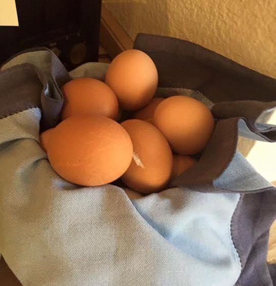 Hotel Landgasthof Weißer Löwe 16