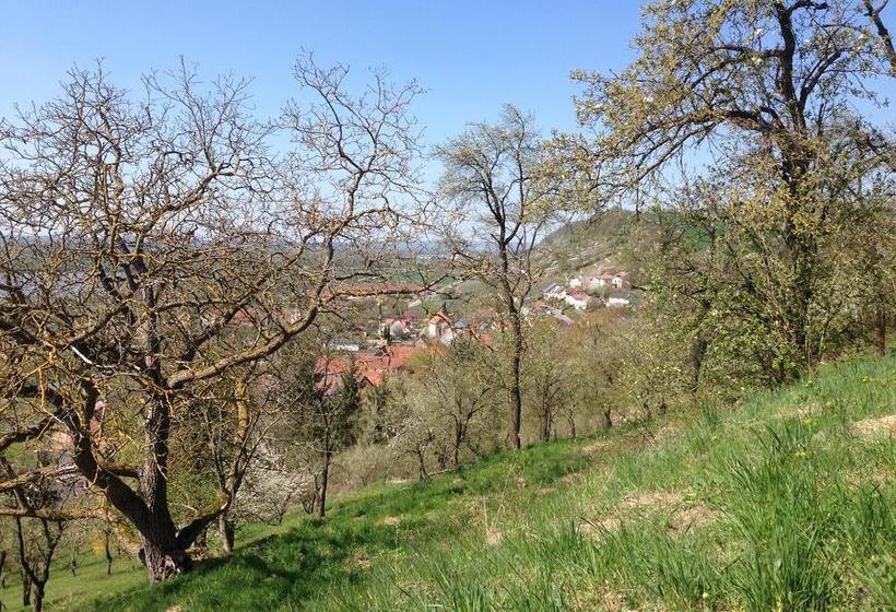 Hotel Alte Rose Gasthaus 12