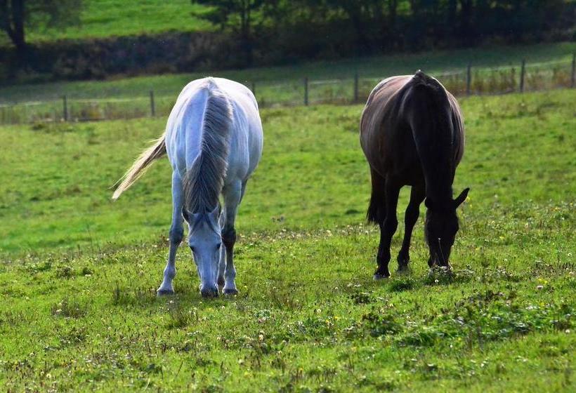 Das Fritz Hotel Der Bäume 17