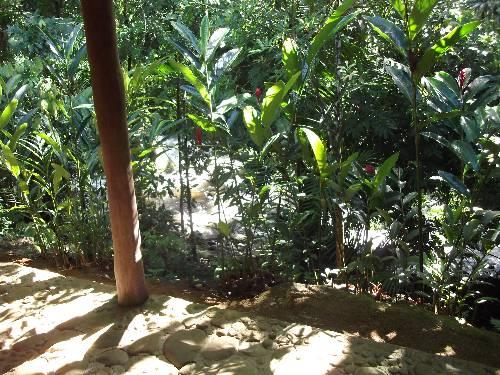 Hotel Pousada Recanto Das Aguas Paraty  | Paraty | Rio de Janeiro | Brasil 2