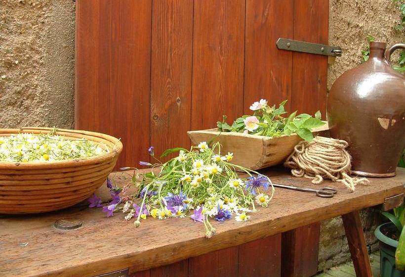 Dreibeiniger Hund Hotel & Gasthof 8