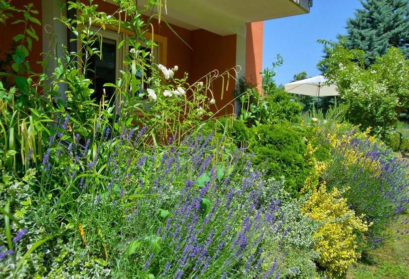 Hotel Pension Gabriela 15