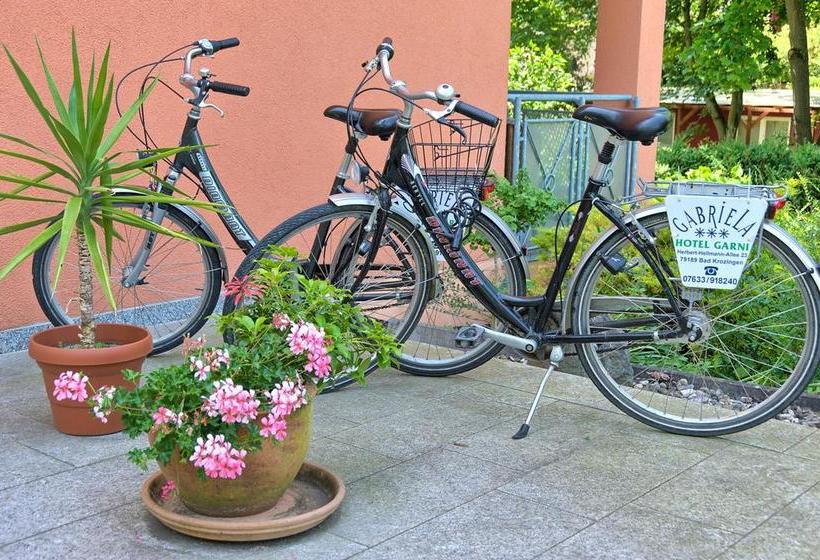 Hotel Pension Gabriela 16