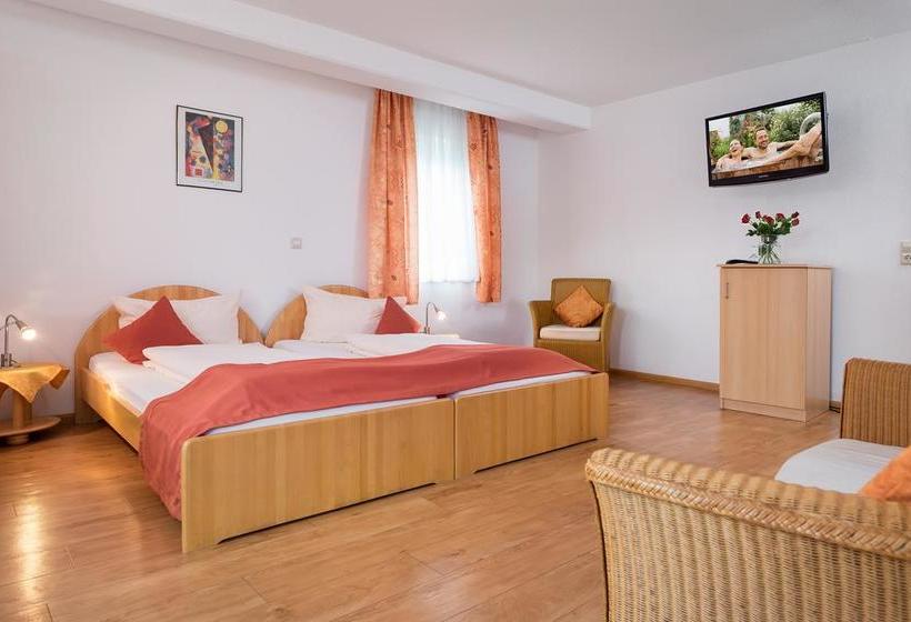 Hotel Pension Gabriela 18