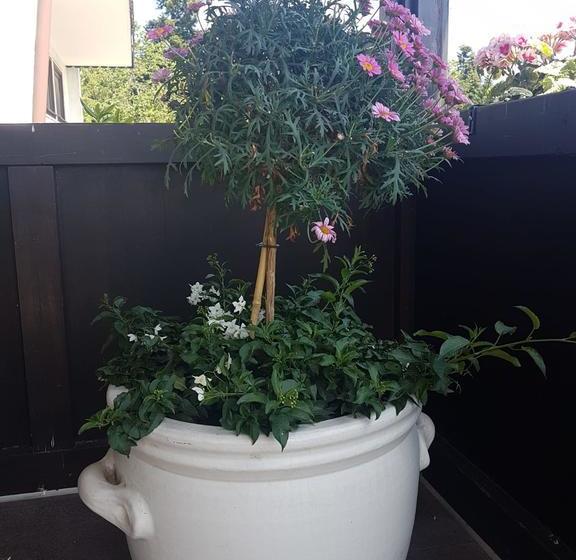 Hotel Gasthaus Waldeslust 6