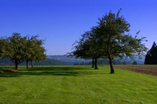 Hotel Gasthaus Waldeslust 8