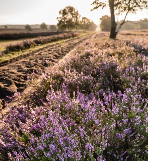 Hotel Krelinger Freizeit- Und Tagungszentrum 10