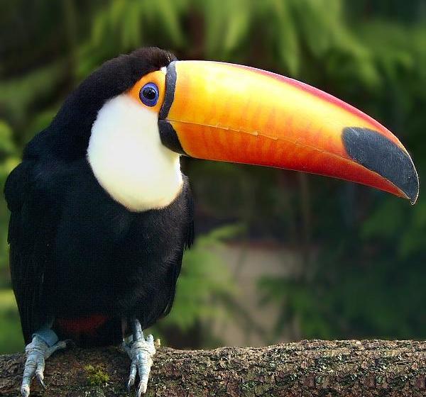 Hotel Krelinger Freizeit- Und Tagungszentrum 8