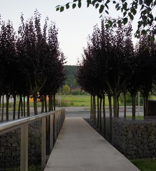 City Hotel Alsdorf 2