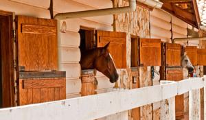 Hotel Rancho Sb  | Campos do Jordão | São Paulo | Brasil 8
