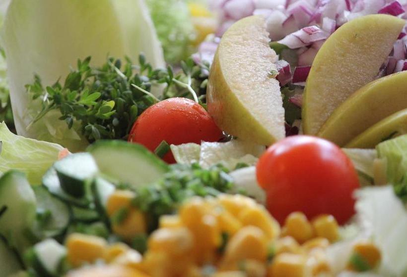 Hotel Gästehaus Am Wintergarten 13