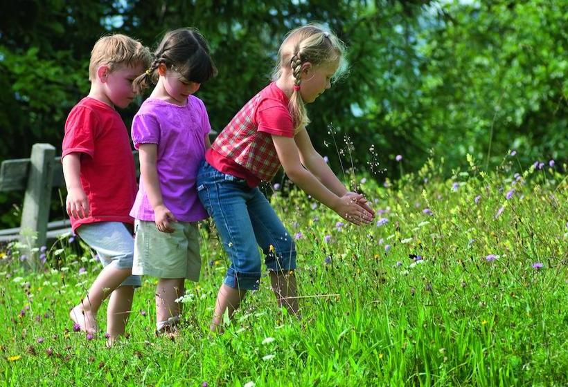 Hotel Hindenburglinde 17