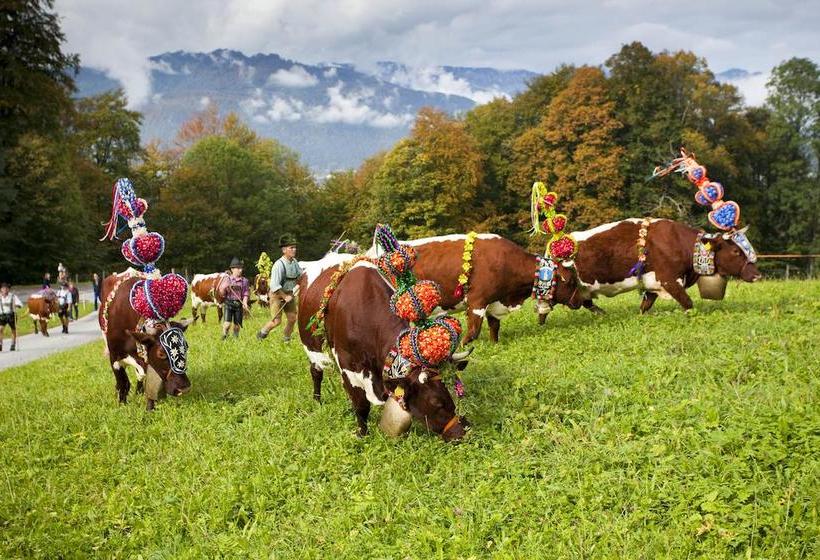 Hotel Hindenburglinde 19