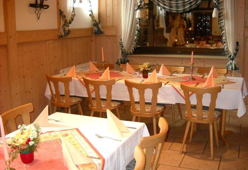 Hotel Pension Flechsig 12