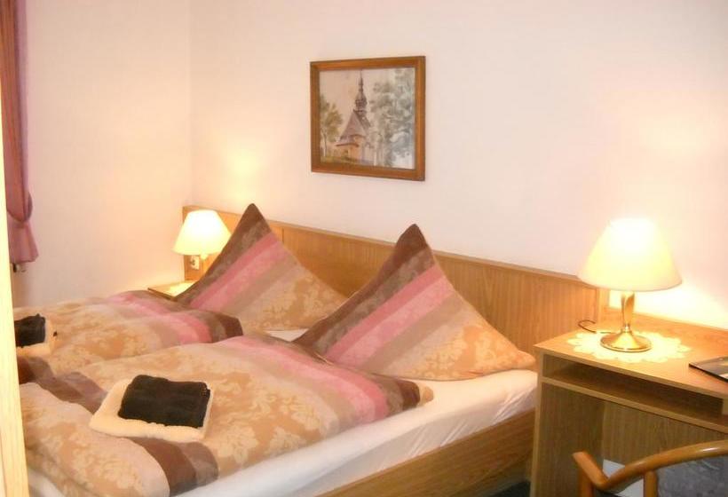 Hotel Pension Flechsig 2