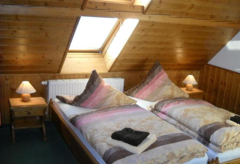 Hotel Pension Flechsig 3