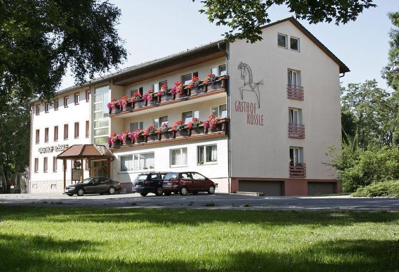Hotel Gasthof Rössle Bad Dürrheim