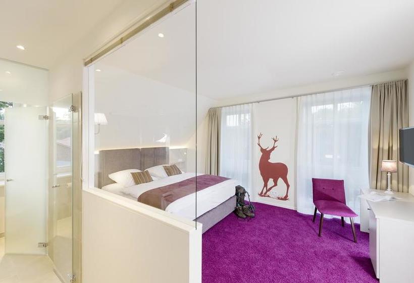 Hotel Schmucke Witwe 4