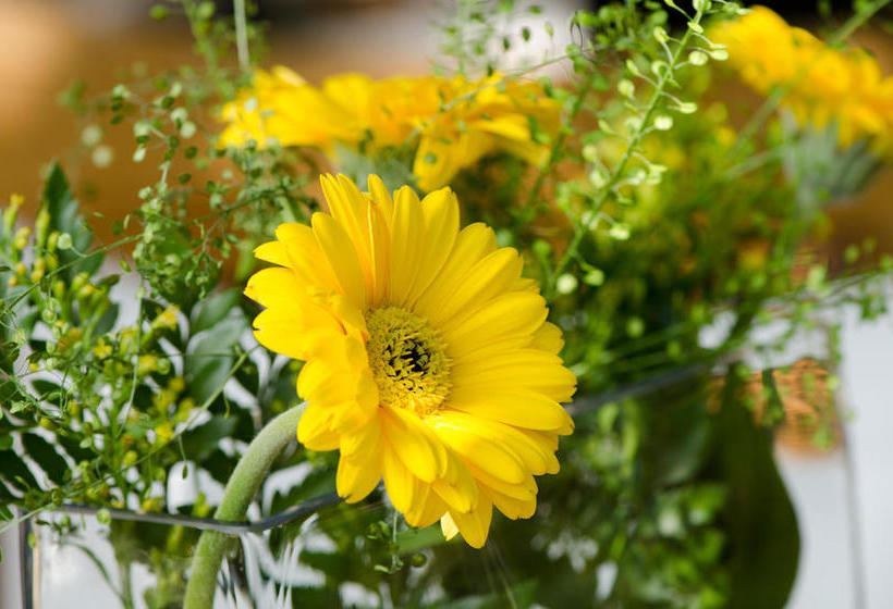 Glashotel Glas & Beauty & Wellness 15