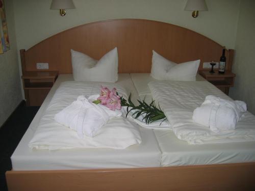 Hotel Goldener Karpfen 3