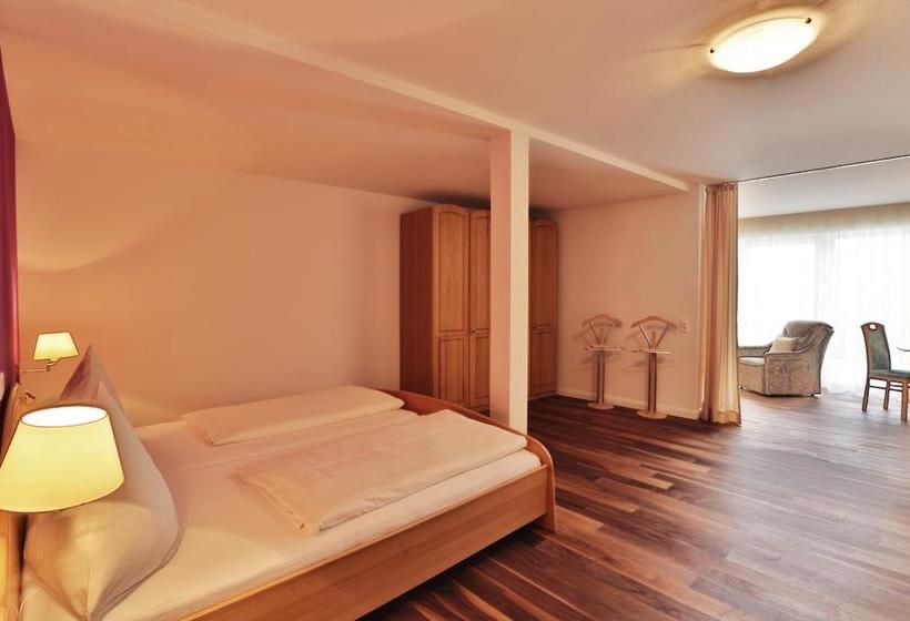 Hotel Luisenstuben 12