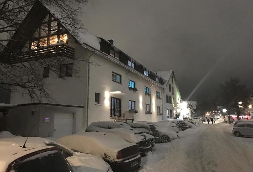 Aktiv Hotel Winterberg 15