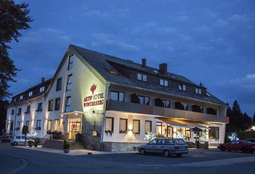 Aktiv Hotel Winterberg 2