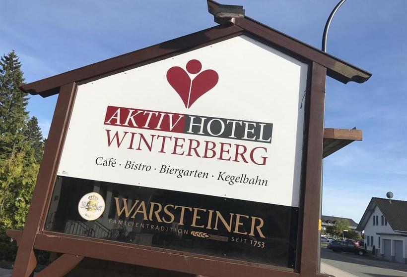 Aktiv Hotel Winterberg 5