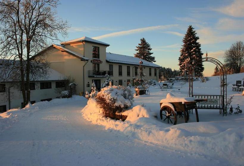 Hotel Asten Rose Landhaus Am Rothaarsteig