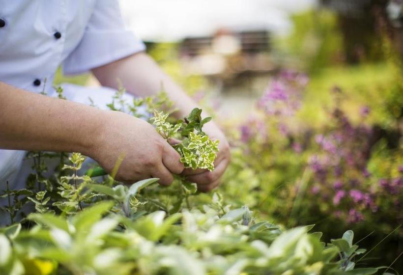 Hotel Asten Rose Landhaus Am Rothaarsteig 19