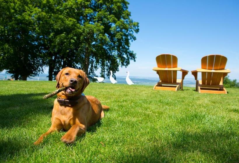 Hotel Plumbohms Aussichtsreich Gast Und Logierhaus 14