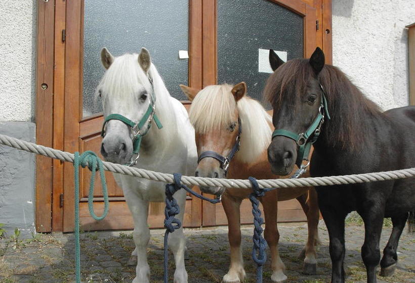Hotel Forsthaus Remstecken Wald 4
