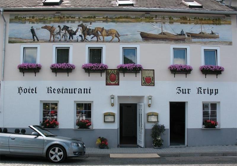 Hotel Zur Kripp Coblenza Renania Palatinado