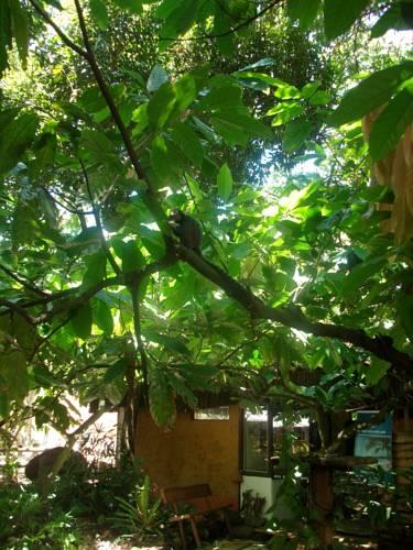 Hotel Pousada Fruta Pão  | Marau | Bahia | Brasil 5