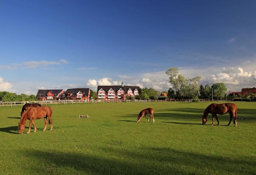 Hotel Strandhafer Apart 13