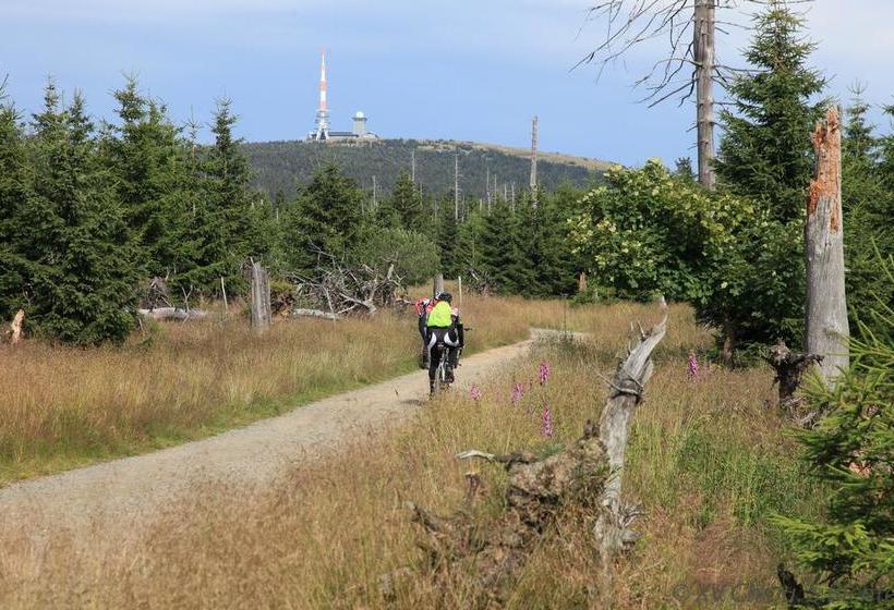 Waldhotel Achtermannstor 3